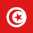 Reasearch Editing Services Tunisia